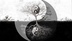 Angewandte Inyoologie